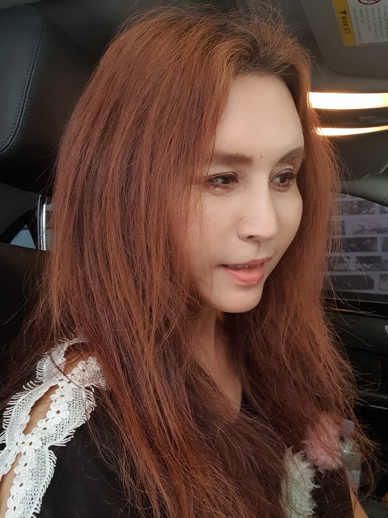 자연주의 작가 리정